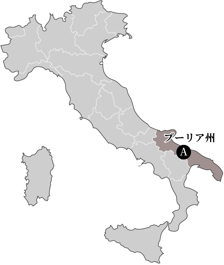 イタリアワインの地方地図